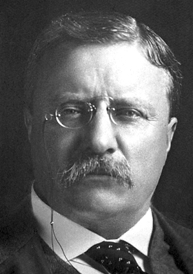 Teddy Roosevelt