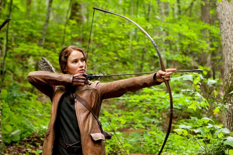 AP Lit is a tough course, so may the odds be ever in your favor!
